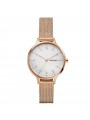 Montre Femme Skagen SKW2633