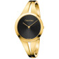 Montre Femme Calvin Klein Addict K7W2S511
