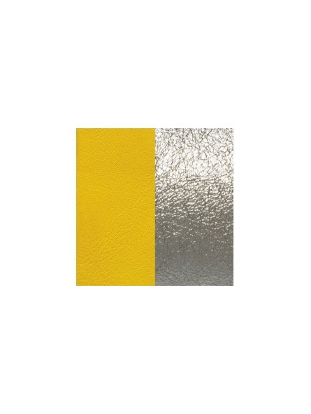 CUIR 40MM SOLEIL/ARGENT