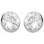 Boucles d'oreilles en or blanc et Oxydes