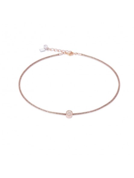 Bijou Coeur de Lion - 0218/10-0225