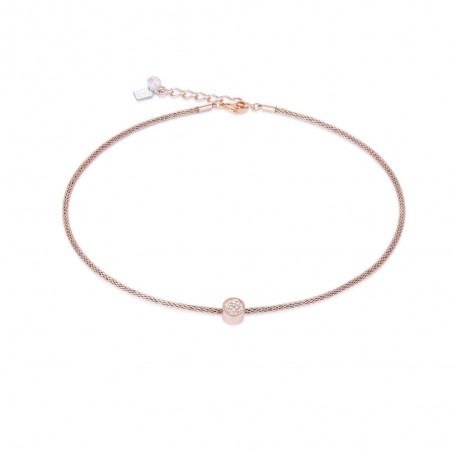 Bijou Coeur de Lion - 0218/10-0225
