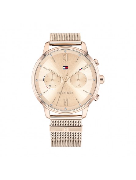 Montre Tommy Hilfiger 1782303