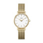 Montre Femme Cluse Boho Chic Petite Mesh, Gold, White, Gold blanc CW0101211001 Montre Femme Cluse Boho Chic Petite Mesh, Gold, White, Gold blanc CW0101211001