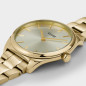 Montre Femme Cluse Féroce Petite Steel, Full Gold doré CW11212 Montre Femme Cluse Féroce Petite Steel, Full Gold doré CW11212
