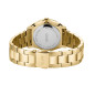 Montre Femme Cluse Féroce Petite Steel, Full Gold doré CW11212 Montre Femme Cluse Féroce Petite Steel, Full Gold doré CW11212