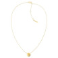 Collier Calvin Klein, collection Timeless Minimal Circular, bijou acier référence 35000144