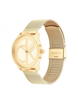 Montre Femme Calvin Klein - Collection Iconic Mesh - Style Tendance - Réf. 25200034