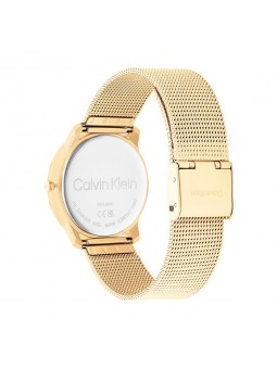 Montre Femme Calvin Klein - Collection Iconic Mesh - Style Tendance - Réf. 25200034