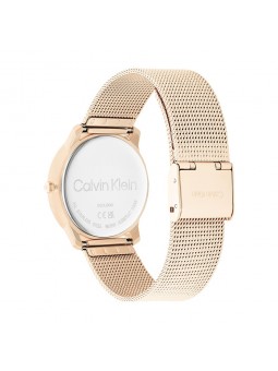Montre Femme Calvin Klein - Collection Iconic Mesh - Style Tendance - Réf. 25200035