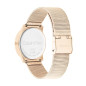 Montre Femme Calvin Klein - Collection Iconic Mesh - Style Tendance - Réf. 25200035 Montre Femme Calvin Klein - Collection Iconic Mesh - Style Tendance - Réf. 25200035