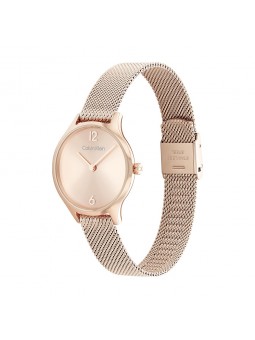Montre Femme Calvin Klein - Collection Timeless Timeless 2H - Style Tendance - Réf. 25200059