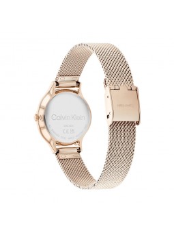 Montre Femme Calvin Klein - Collection Timeless Timeless 2H - Style Tendance - Réf. 25200059
