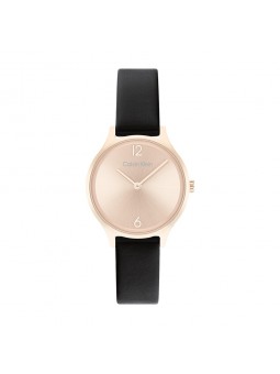 Montre Femme Calvin Klein - Collection Timeless Timeless 2H - Style Tendance - Réf. 25200060
