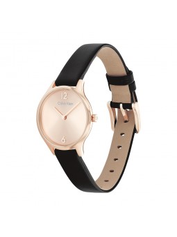 Montre Femme Calvin Klein - Collection Timeless Timeless 2H - Style Tendance - Réf. 25200060