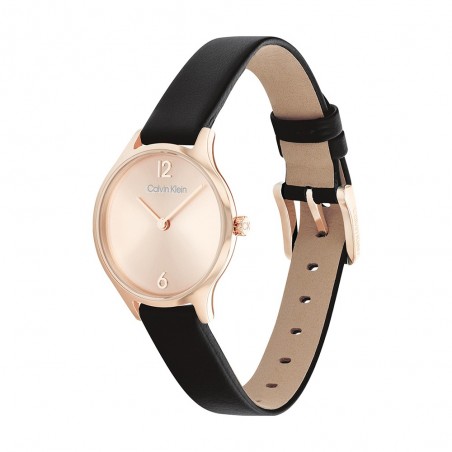 Montre Femme Calvin Klein - Collection Timeless Timeless 2H - Style Tendance - Réf. 25200060
