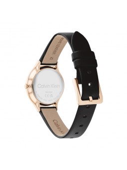 Montre Femme Calvin Klein - Collection Timeless Timeless 2H - Style Tendance - Réf. 25200060