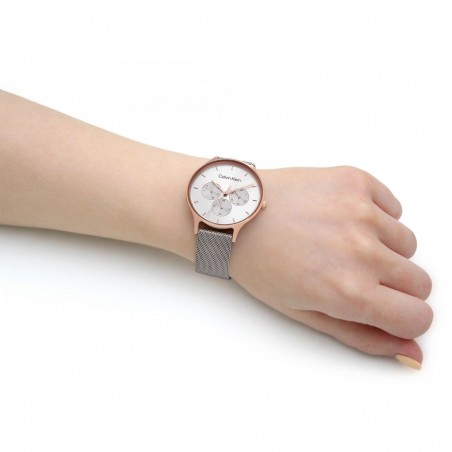 Montre Femme Calvin Klein - Collection Timeless Timeless Multi - Style Tendance - Réf. 25200106