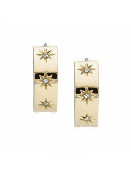 Boucles d'oreilles Fossil Acier doré Collection Shine Bright JF03870710