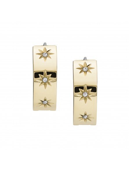 Boucles d'oreilles Fossil Acier doré  Collection Shine Bright JF03870710