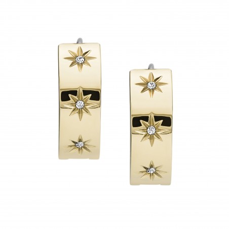 Boucles d'oreilles Fossil Acier doré Collection Shine Bright JF03870710