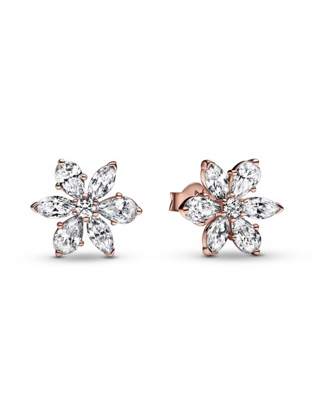 Clous doreilles Herbier Scintillant