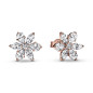 Clous doreilles Herbier Scintillant