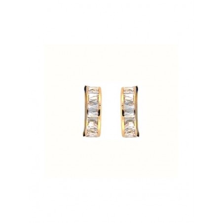 Boucles d'oreilles N2604 or 375/000