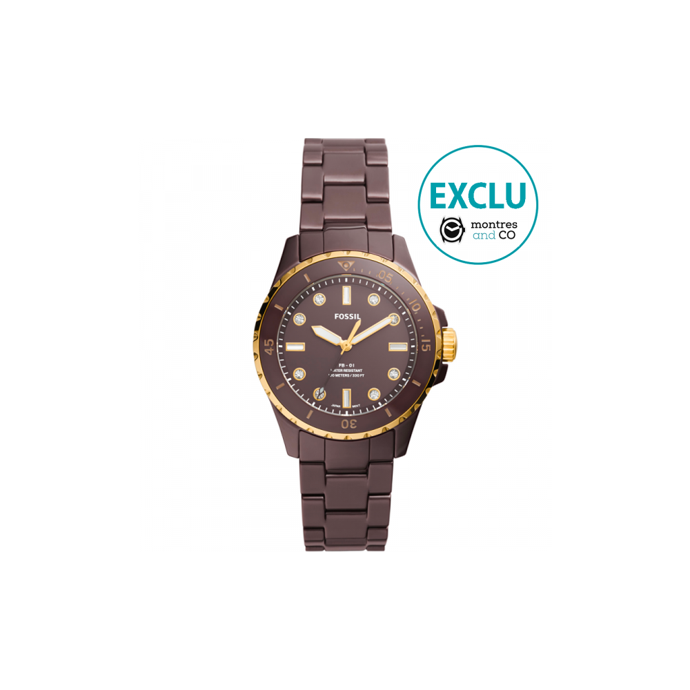 Montre Femme Fossil FB-01 en Céramique Marron Ref CE1121