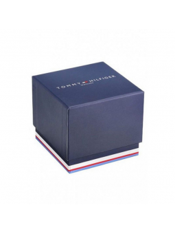 Montre Homme Tommy Hilfiger Damon bracelet Acier 1791421