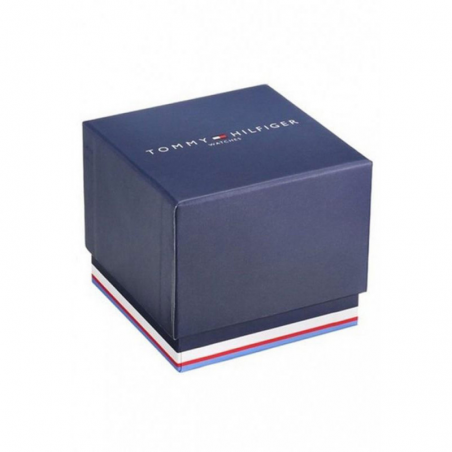 Montre Homme Tommy Hilfiger Damon bracelet Acier 1791421