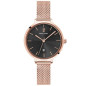 Montre Femme Pierre Lannier bracelet Acier 032K938