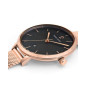 Montre Femme Pierre Lannier bracelet Acier 032K938