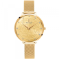 Pierre Lannier - Montre Eolia Femme - Boitier et Bracelet Métal Doré - Ref 041K548