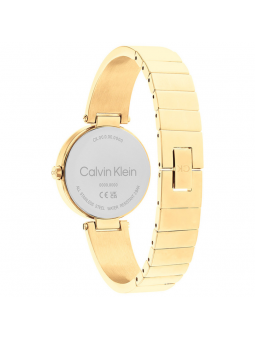 Montre Femme Calvin Klein bracelet Acier 25200309