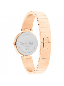 Montre Femme Calvin Klein bracelet Acier 25200308