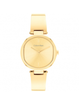 Montre Femme Calvin Klein bracelet Acier 25200309