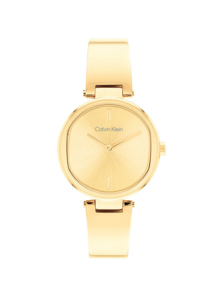 Montre Femme Calvin Klein bracelet Acier 25200309