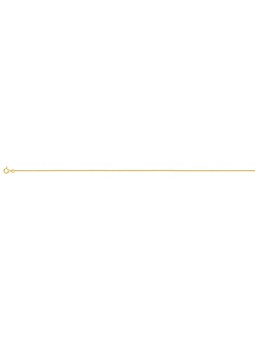 Collier Bijou Collection G35/40 G35/40 - Marque Collection Elsass Bijouterie  Or 750/1000 - Couleur Jaune -
