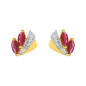 Boucles d'oreilles clous