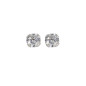 Bijou Collection 1002504