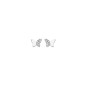 Bijou Collection 1003963