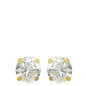 Bijou Collection 1006401