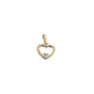 Pendentif Bijou Collection 1007986 1007986 - Marque Collection Elsass Bijouterie  Or 375/1000 - Couleur Bicolore - Diamant