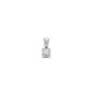 Bijou Collection 1008374