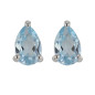 Bijou Collection 1012021