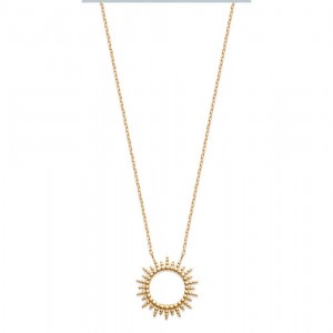 Collier Plaque Or - 1018088