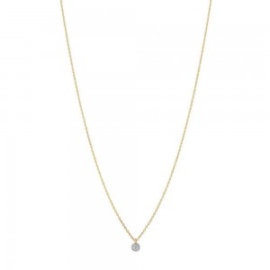 Collier Bijou Collection 1019044 1019044 - Marque Collection Elsass Bijouterie  Or 375/1000 - Couleur Bicolore - Diamant