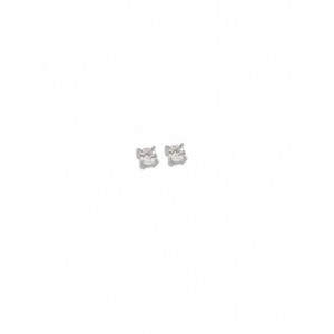 Boucles D'Oreilles - 1002063