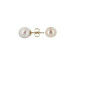 Bijou Collectionl B10885
